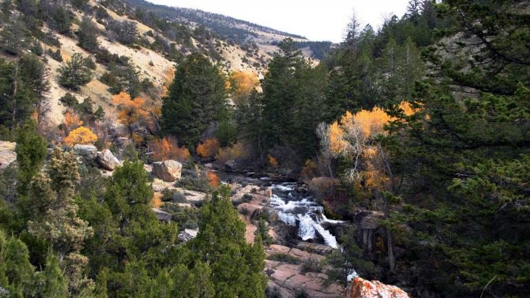 怀俄明州比格霍恩国家森林的 Shell Falls Interpretive Site 解说站 怀俄明州比格霍恩国家森林的 Shell Falls Interpretive Site 解说站